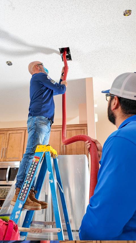 Professional in-home service